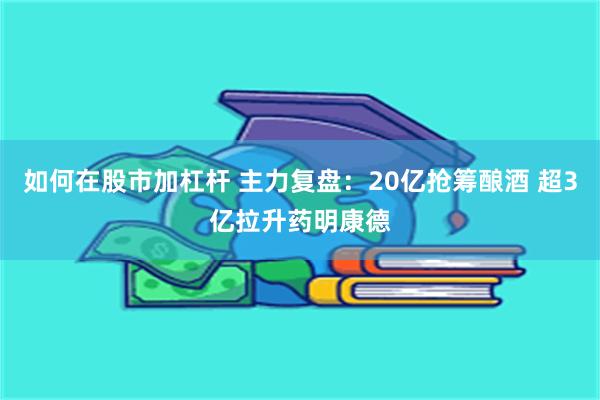 如何在股市加杠杆 主力复盘：20亿抢筹酿酒 超3亿拉升药明康德