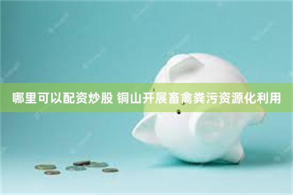 哪里可以配资炒股 铜山开展畜禽粪污资源化利用