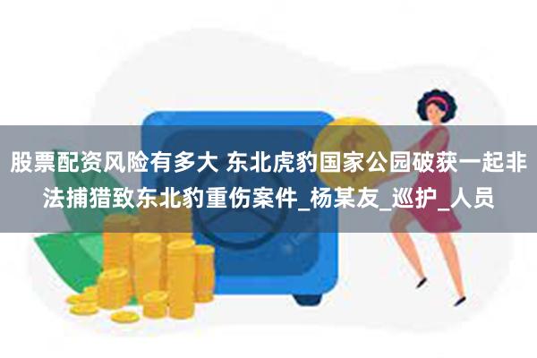 股票配资风险有多大 东北虎豹国家公园破获一起非法捕猎致东北豹重伤案件_杨某友_巡护_人员