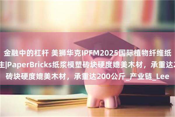 金融中的杠杆 美狮华克IPFM2025国际植物纤维纸浆模塑佛山展硬核再生|PaperBricks纸浆模塑砖块硬度媲美木材，承重达200公斤_产业链_Lee