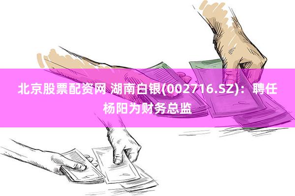 北京股票配资网 湖南白银(002716.SZ)：聘任杨阳为财务总监
