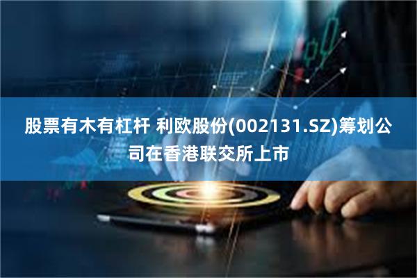 股票有木有杠杆 利欧股份(002131.SZ)筹划公司在香港联交所上市