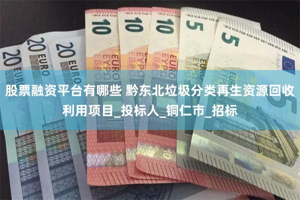 股票融资平台有哪些 黔东北垃圾分类再生资源回收利用项目_投标人_铜仁市_招标