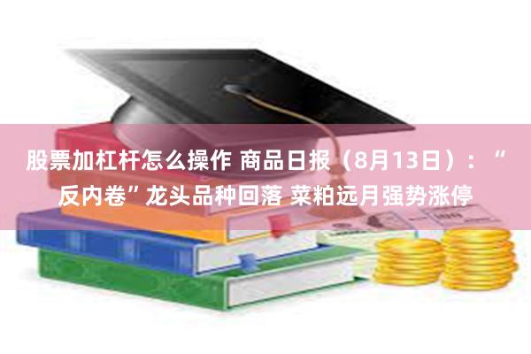 股票加杠杆怎么操作 商品日报（8月13日）：“反内卷”龙头品种回落 菜粕远月强势涨停