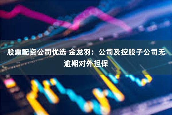 股票配资公司优选 金龙羽：公司及控股子公司无逾期对外担保